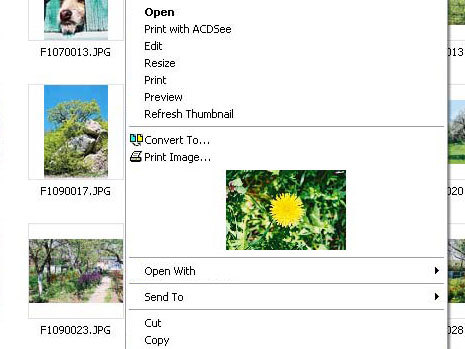 FirmTools ShellExtension Screenshot
